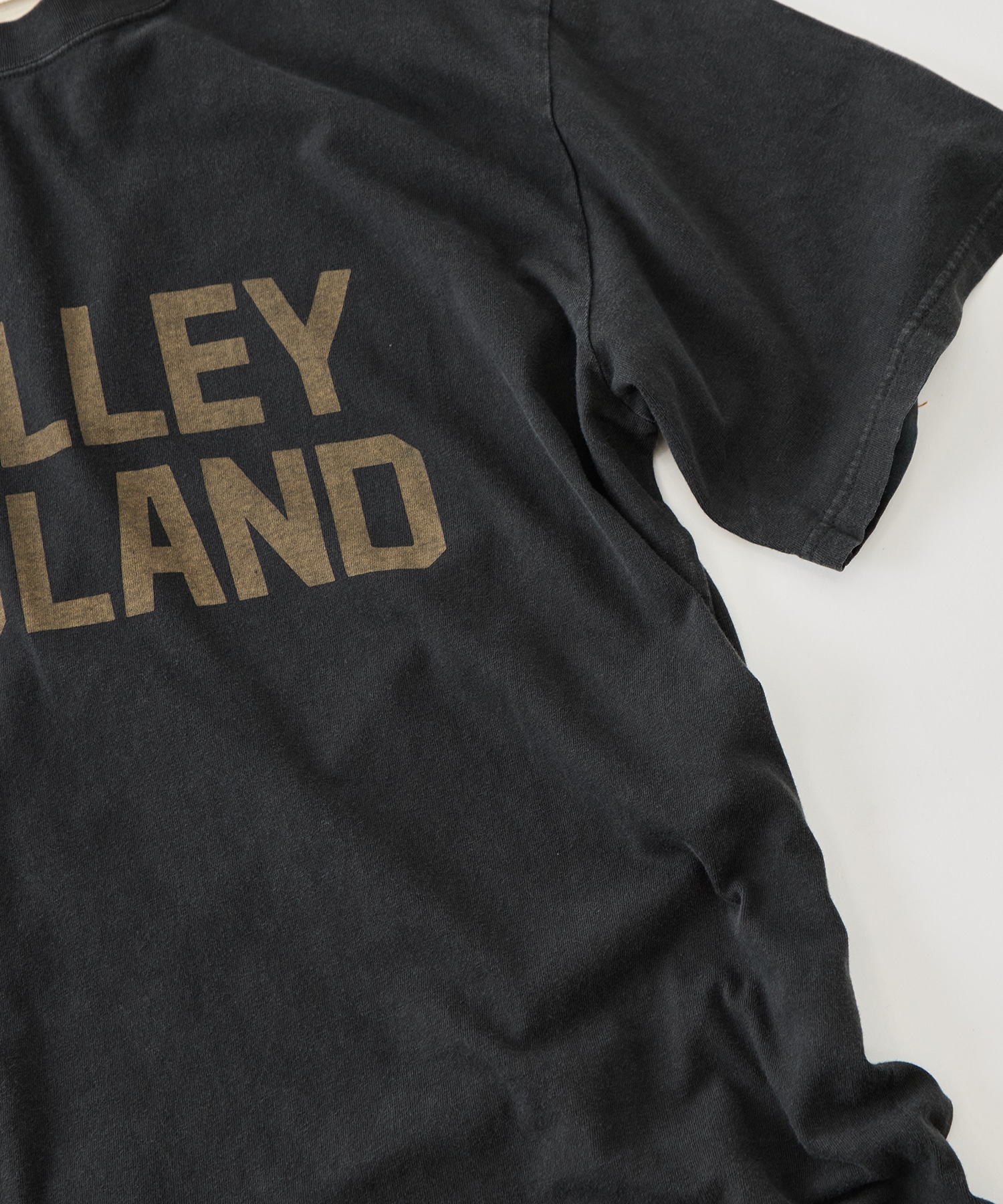 HARD SP加工20/-天竺レギュラーT(VALLEY ISLAND) REMI RELIEF