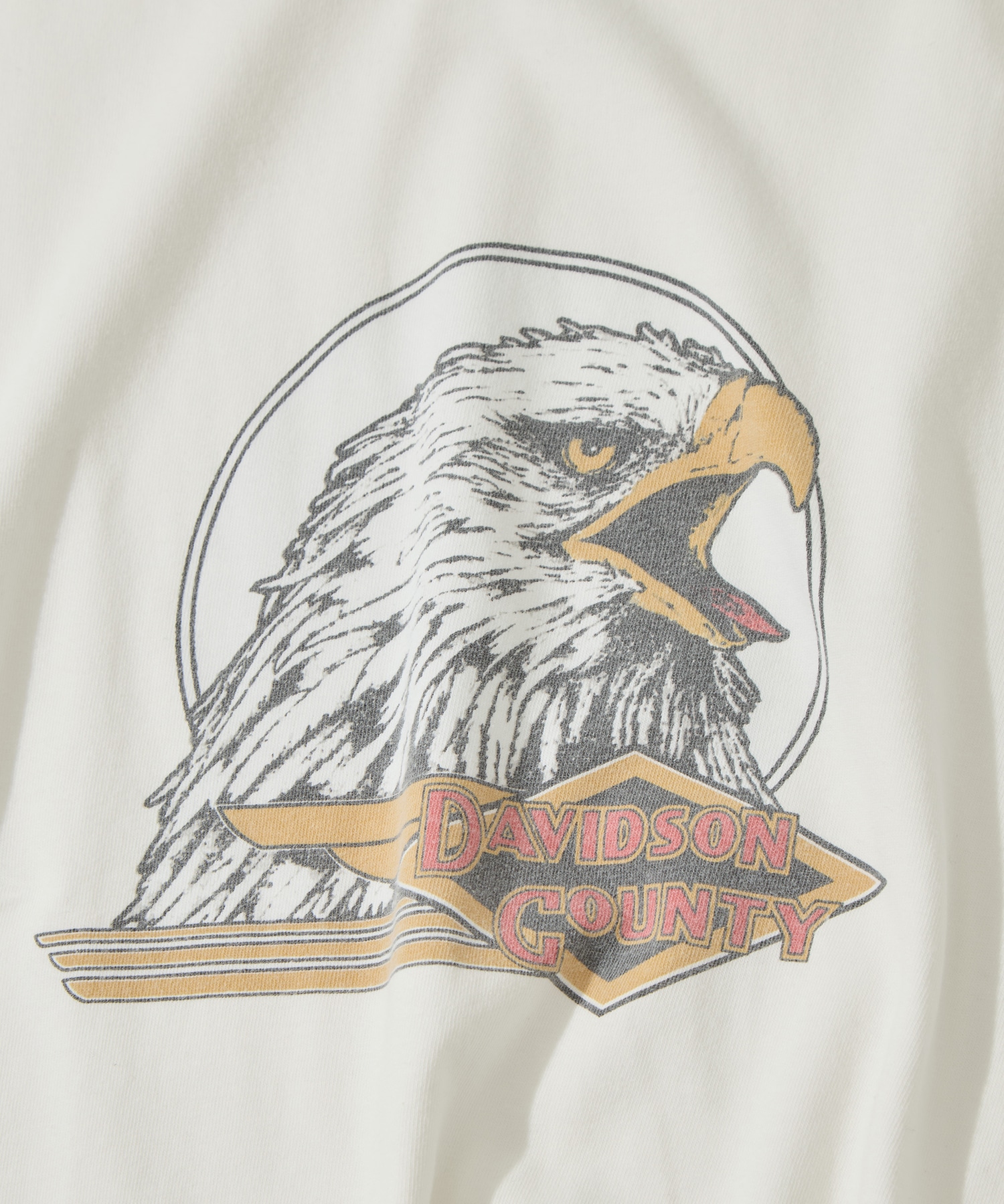 別注 HARD SP加工20/-天竺レギュラーT(DAVIDSON COUNTY) REMI RELIEF