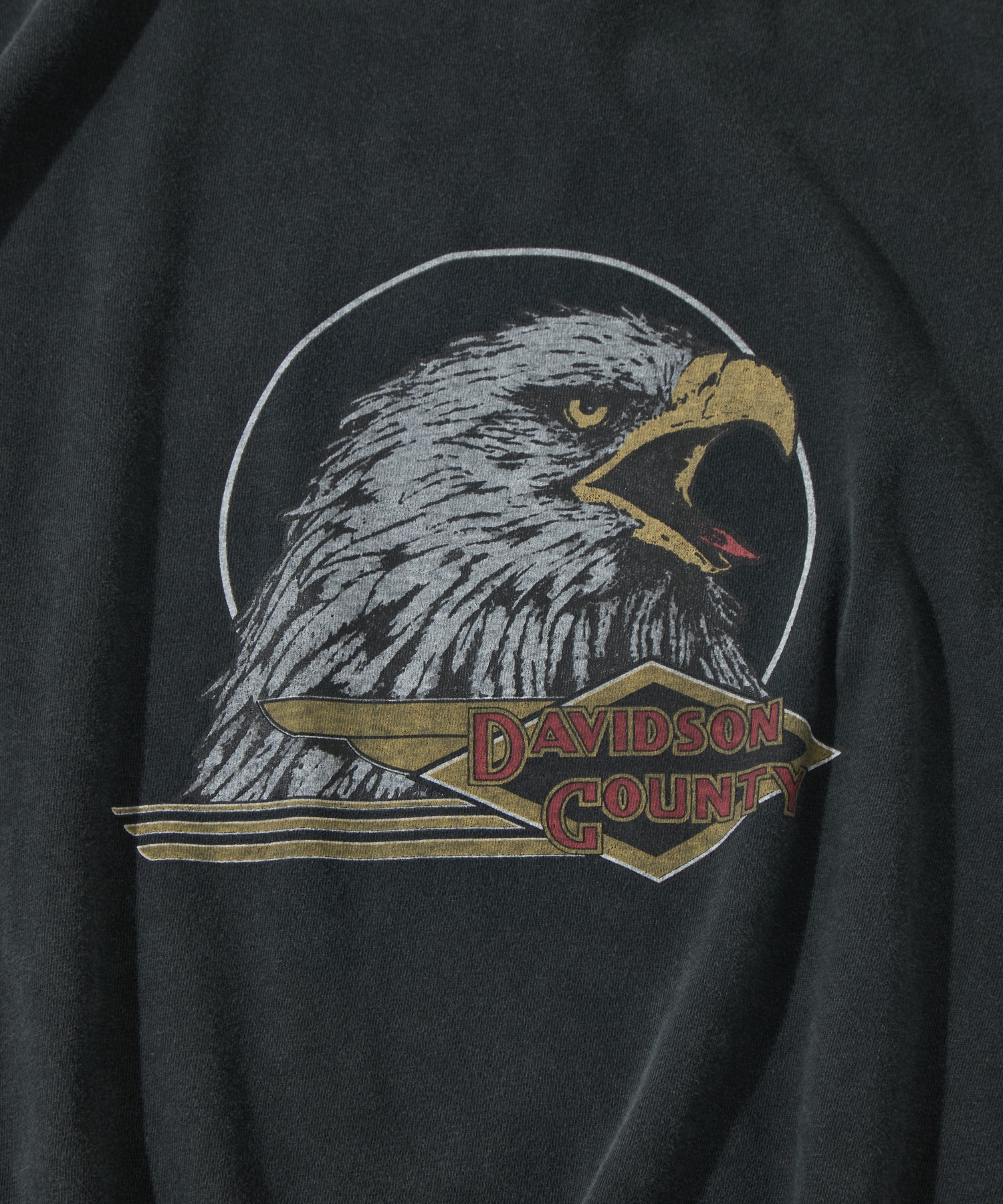 別注 HARD SP加工20/-天竺レギュラーT(DAVIDSON COUNTY) REMI RELIEF