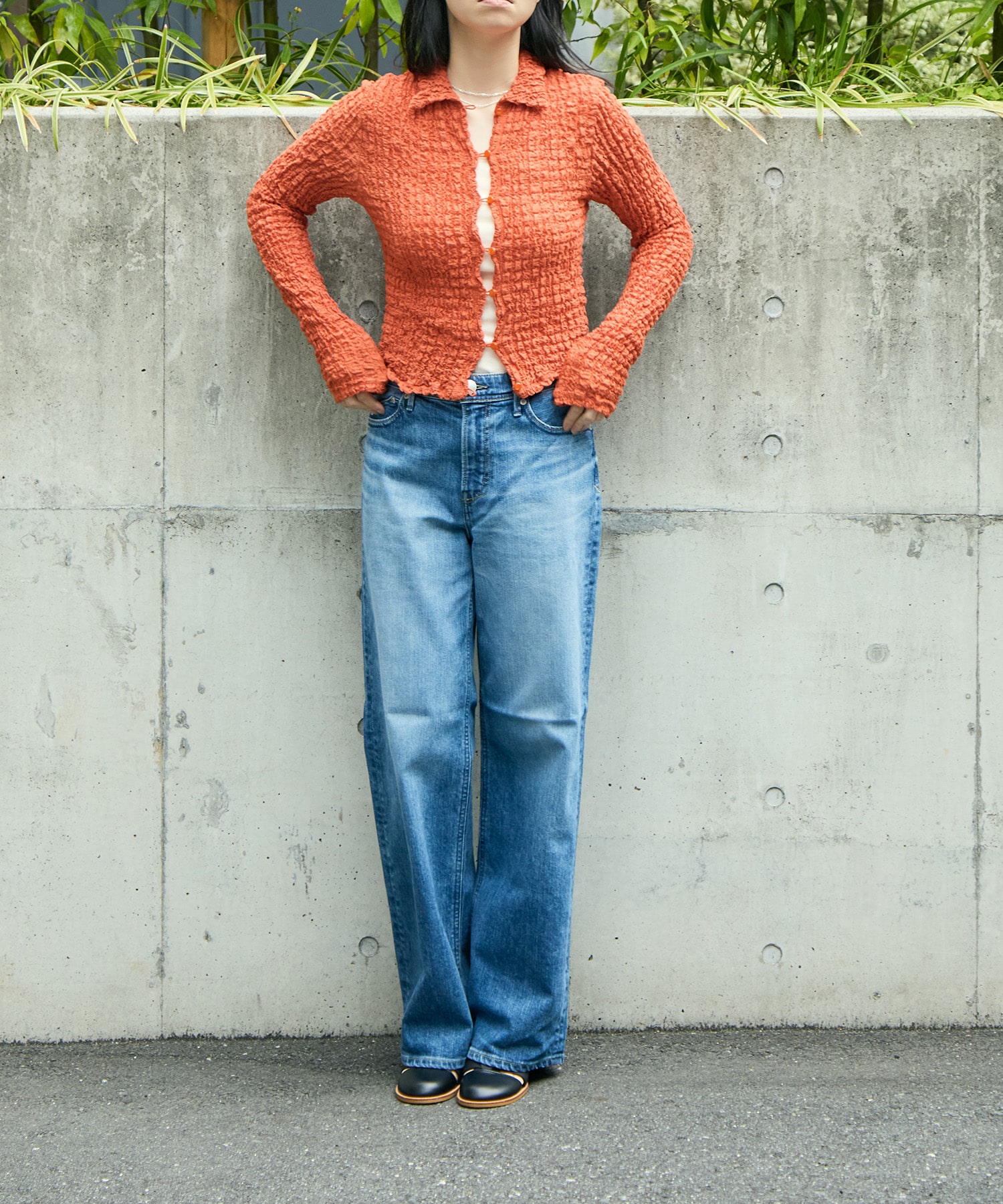 Shrink  Lace Cropped Shirt PHEENY