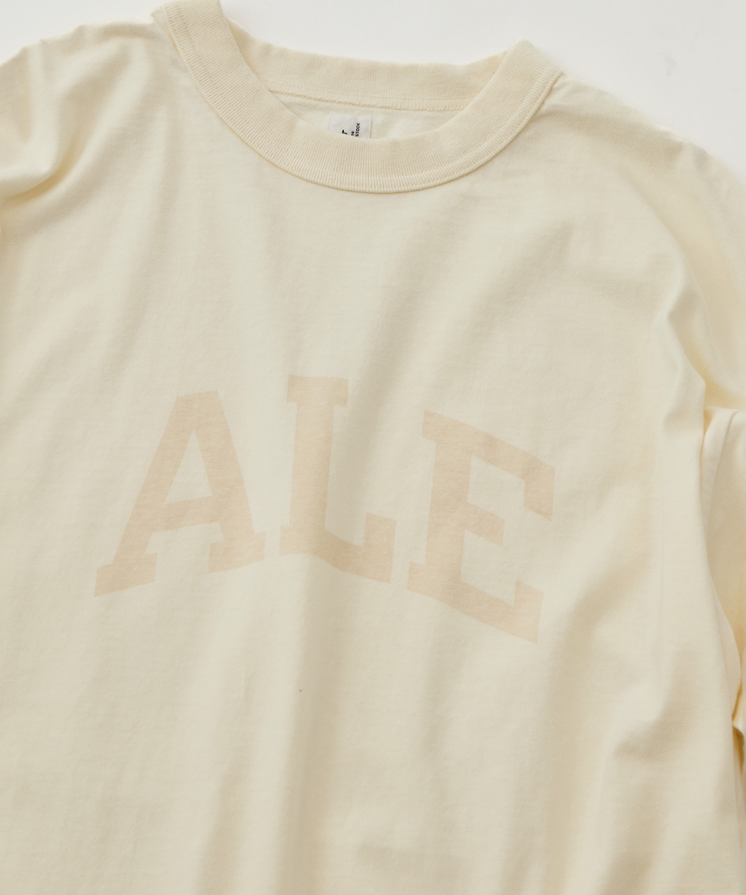 ALE-Y 88/12 Print Tee WIDE blurhmsROOTSTOCK