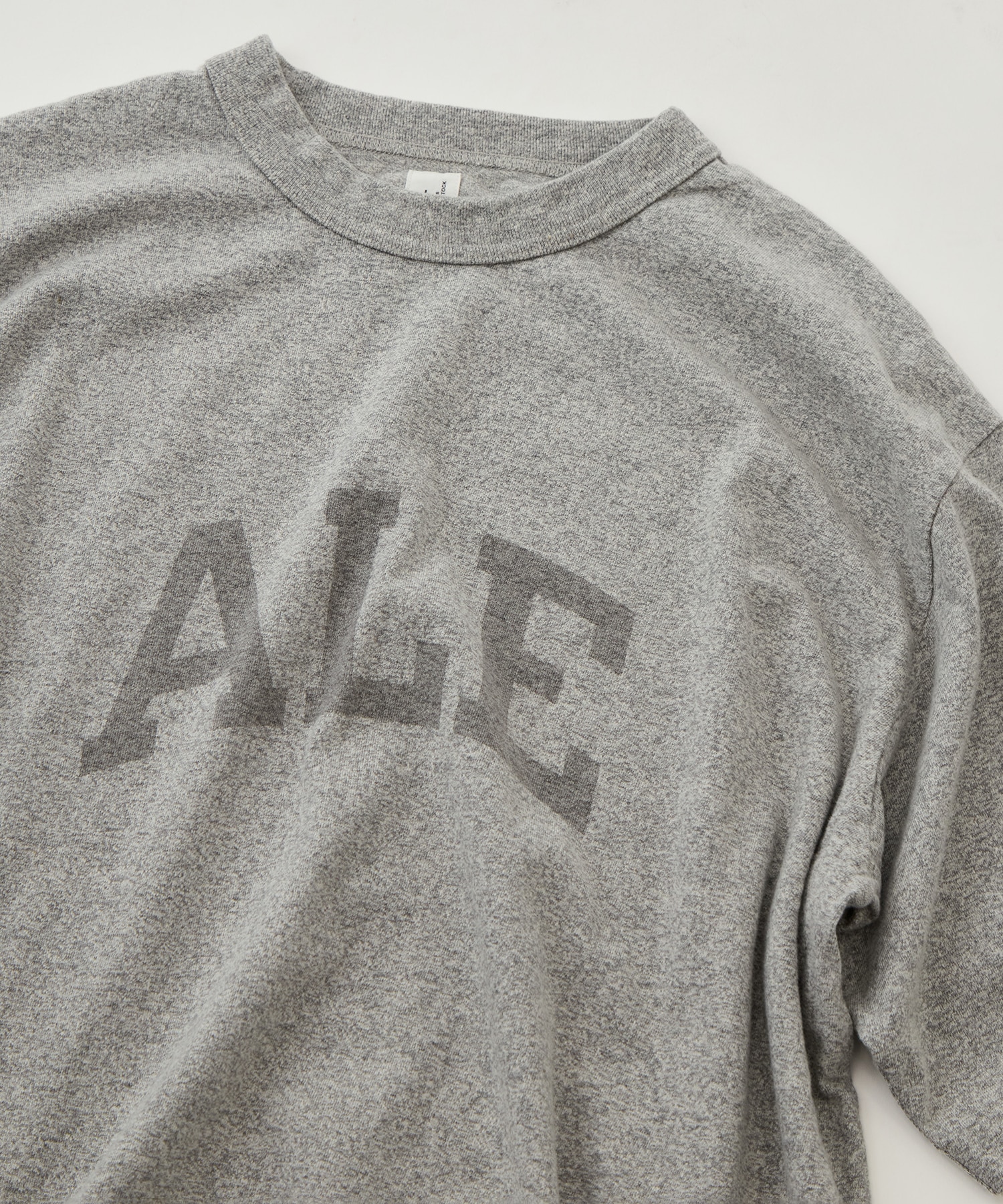 ALE-Y 88/12 Print Tee WIDE blurhmsROOTSTOCK